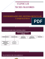 Enfermedades Del Sistema Muscular y Oseo