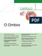 Vias de Acesso Do Ombro