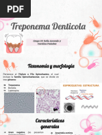 Presentación T. Denticola