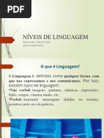 Níveis de Linguagem