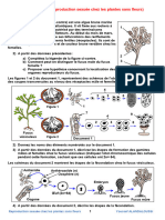 Exercices La Reproduction Sexuee Ches Les Plants A Fleurs1