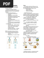 Sistema Esquelético