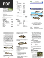 BFAR-NIFTC Polyculture of Tilapia EDITED 2022