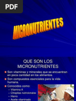 MICRONUTRIENTES