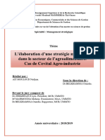 Memoire Elaboration de La Strategie Marketing Version Finale