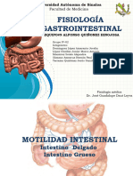 Fisiologagastrointestinal 170602145516