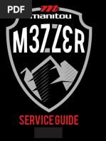 Mezzer Pro Expert Service Guide