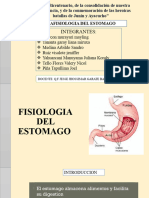 Fisiologia Del Estomago