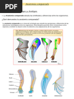 Anatomía Comparada. Activ