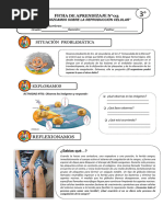 FICHA DE APRENDIZAJE N°03 Ok Ok