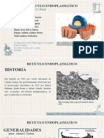 Exposición de Biologia Reticulo Endoplasmatico