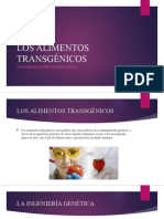 Los Alimentos Transgenicos