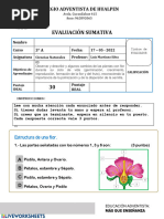 Evaluación Sumativa: Colegio Adventista de Hualpen