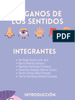 Organos de Los Sentidos