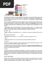 TPN°2 Extracción Del Petróleo Carolina Mena