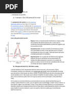 Fisiológia Seminario #2