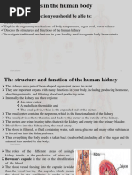 Homeostasis Biology Lecture