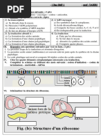 Série Génétique - 1bac SM