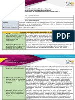 Plantilla Anexo 2, Problematica Institucional