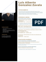 Curriculum Vitae - Luis Alberto Gonzalez Zavala