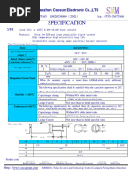 Capsun (Radial Thru-Hole) SWM Series