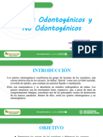 Quistes Odontogenicos y No Odontogenicos