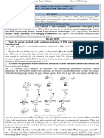 Chapter - Biology Xii Pyq