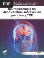 Neuropsicologia Del Dano Cerebr Ibanez Alonso Joaquin A. Del B