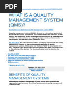 QMS Meaning, Origin & Elements