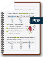 Derivaciones Bipolares y Precordiales