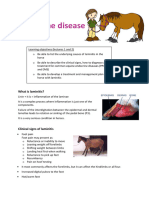 Equine Endocrine and Laminitis 1