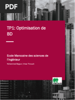 TP Optimisation BD