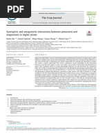 K2 - Potassium and Magnesium Balance (Cakmak)