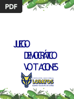 Juego Democratico