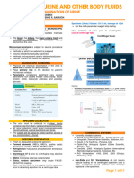 Urine Microscopic Examination P1