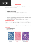 Histología Camilo PDF - 230809 - 080449