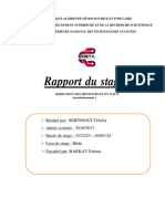 Rapport de Stage