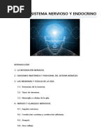 Apuntes Anatomía (46 Pag.) .