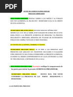 Gui N de Audiencia Preliminar V A Proceso Ordinario