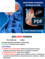 Anatomía Humana