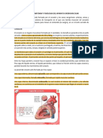 Repaso de Anatomia y Fisiologia Del Aparato Cardiovascular