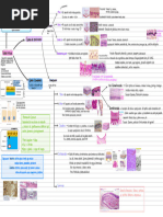 Histoembriologia PPT 1