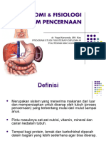 Sistem Digestive