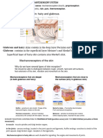 18 Somato-Sensory-System-09-02-2023