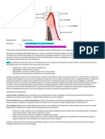 Apunte Primer Parcial Periodoncia