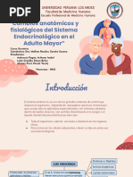 N°5 Endocrinologia en Adultos Mayores (Grupo 6)