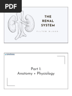 Renal: Anatomy + Physiology