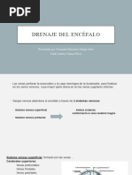 Drenaje Del Encefalo