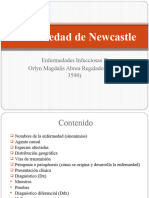 Enfermedad de Newcastle. Enfermedades Infecciosas