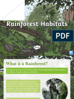 T T 4797 Rainforest Habitat Powerpoint Ver 1